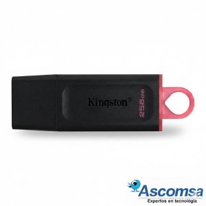 FLASH MEMORY KINGSTON DATA TRAVELE EXODIA DTX 256GB USB 3.2